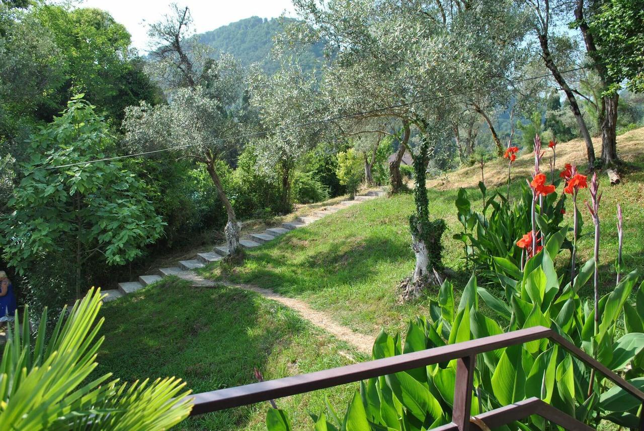 Villa Oliva New Athos 外观 照片